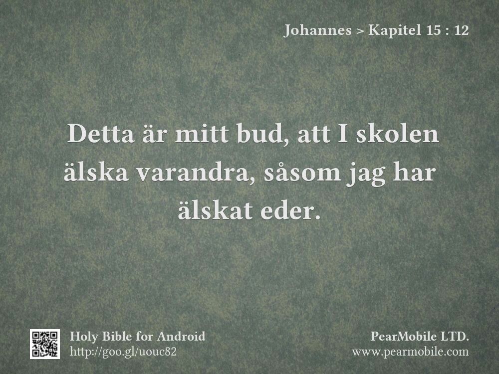Johannes, Kapitel 15:12